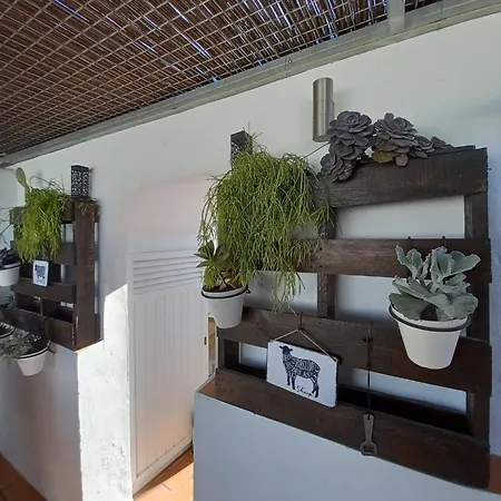 Ferienhaus Casa El Molino